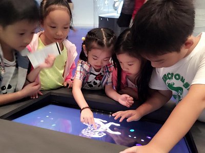 Free-form and exploratory learning
